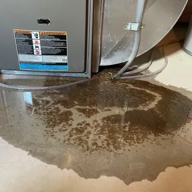 Appliance Leak Cleanup in Aurora, TX